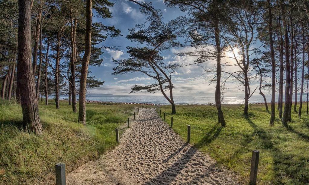 Direkt Am Strand Mit Meerblick Und Sauna - Fewo Strandidyll Binz Esterno foto